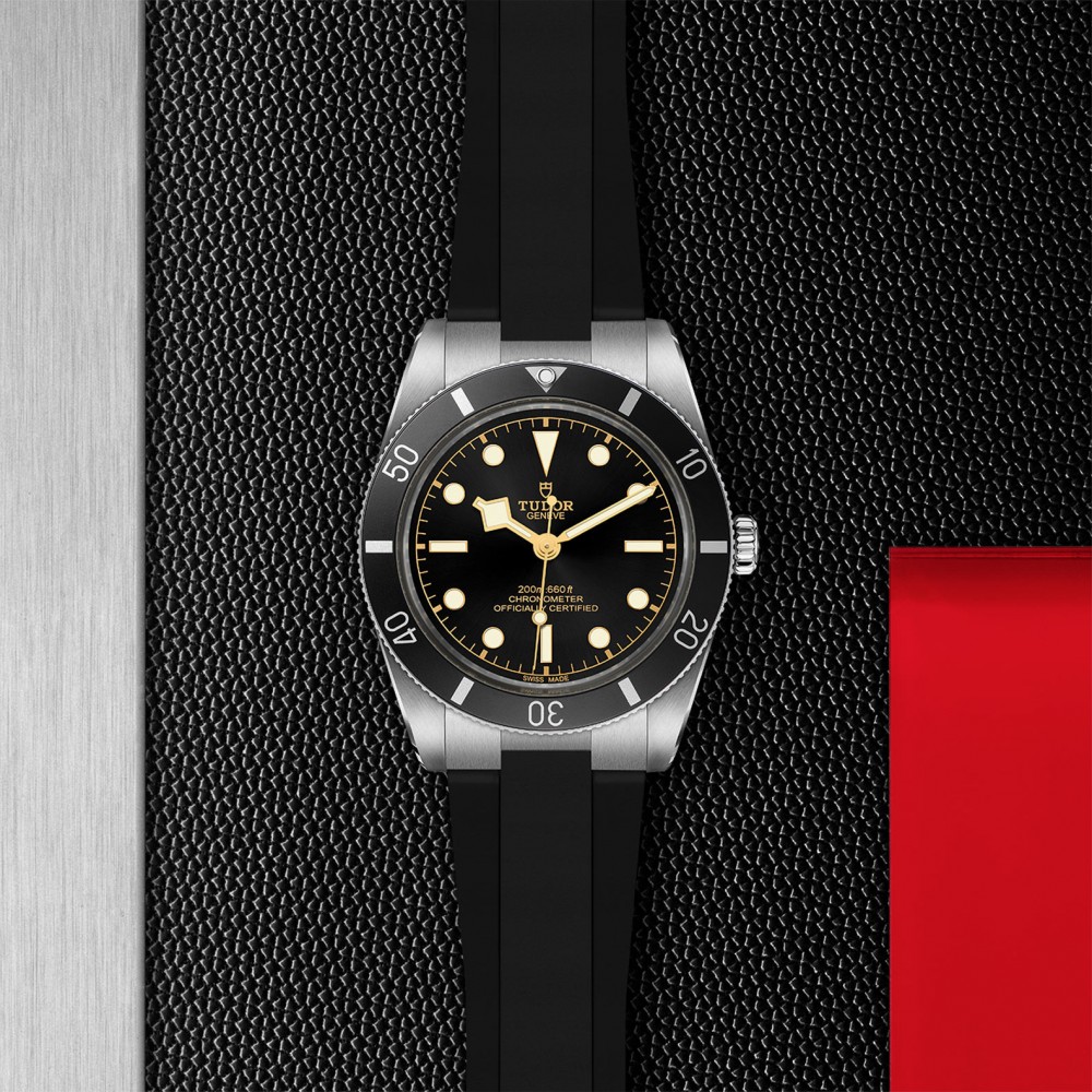 TUDOR Black Bay 54 - M79000N-0002 at Floyd & Green Fine Jewelers