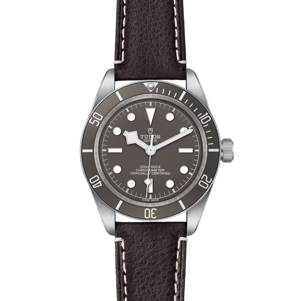 TUDOR Black Bay 58 Watch - M79010SG-0001 at Floyd & Green Fine Jewelers