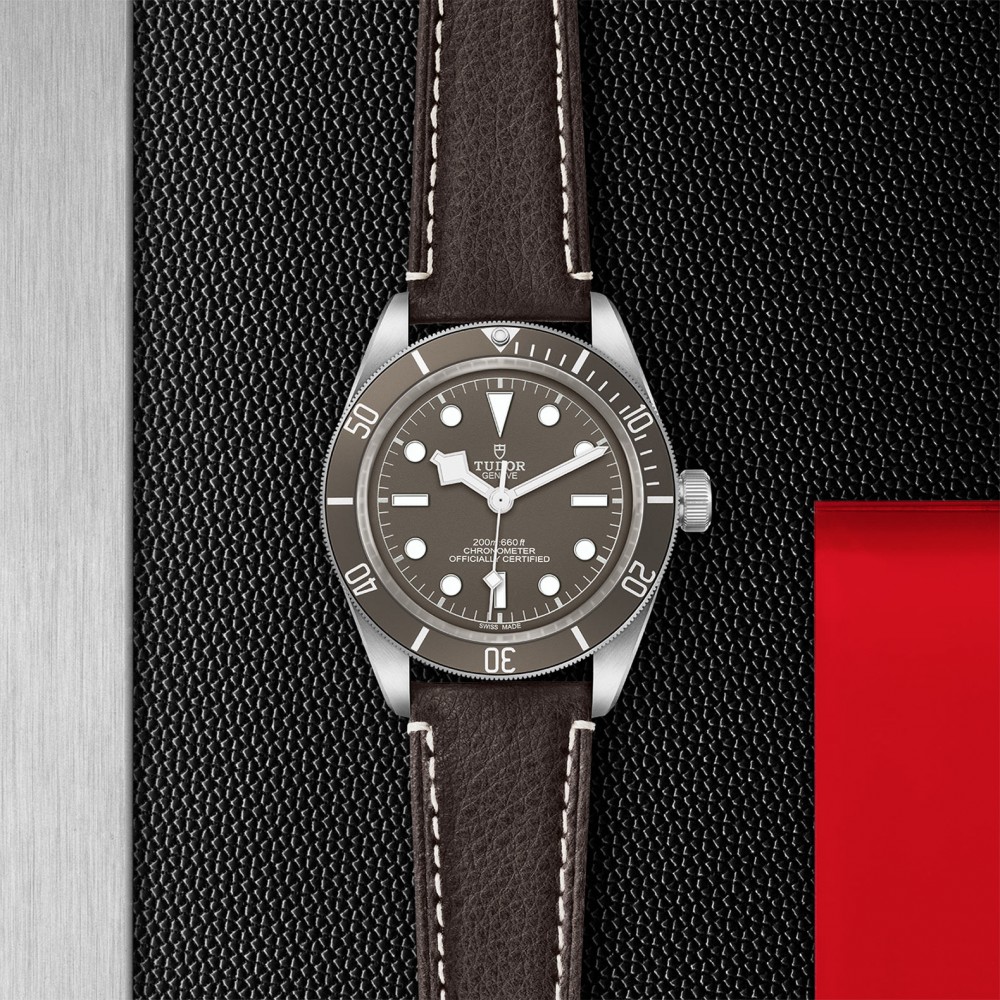 TUDOR Black Bay 58 Watch - M79010SG-0001 at Floyd & Green Fine Jewelers