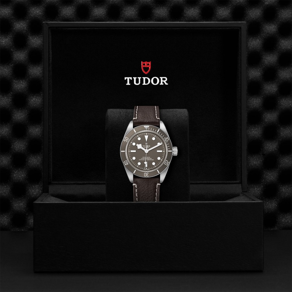 TUDOR Black Bay 58 Watch - M79010SG-0001 at Floyd & Green Fine Jewelers
