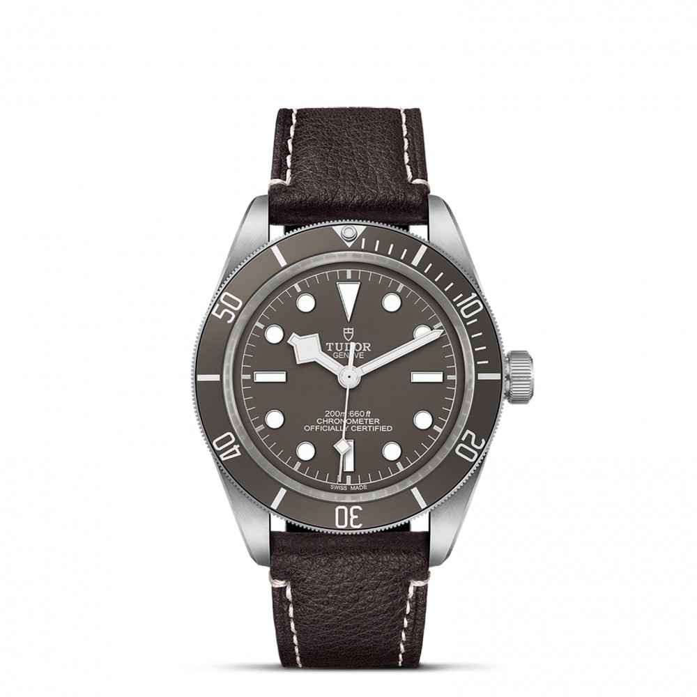 TUDOR Black Bay 58 Watch - M79010SG-0001 at Floyd & Green Fine Jewelers