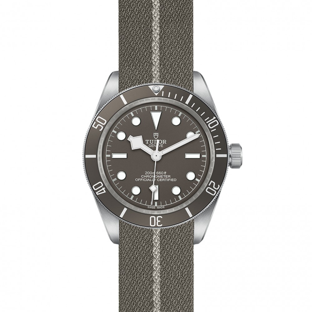 TUDOR Black Bay 58 Watch - M79010SG-0002 at Floyd & Green Fine Jewelers