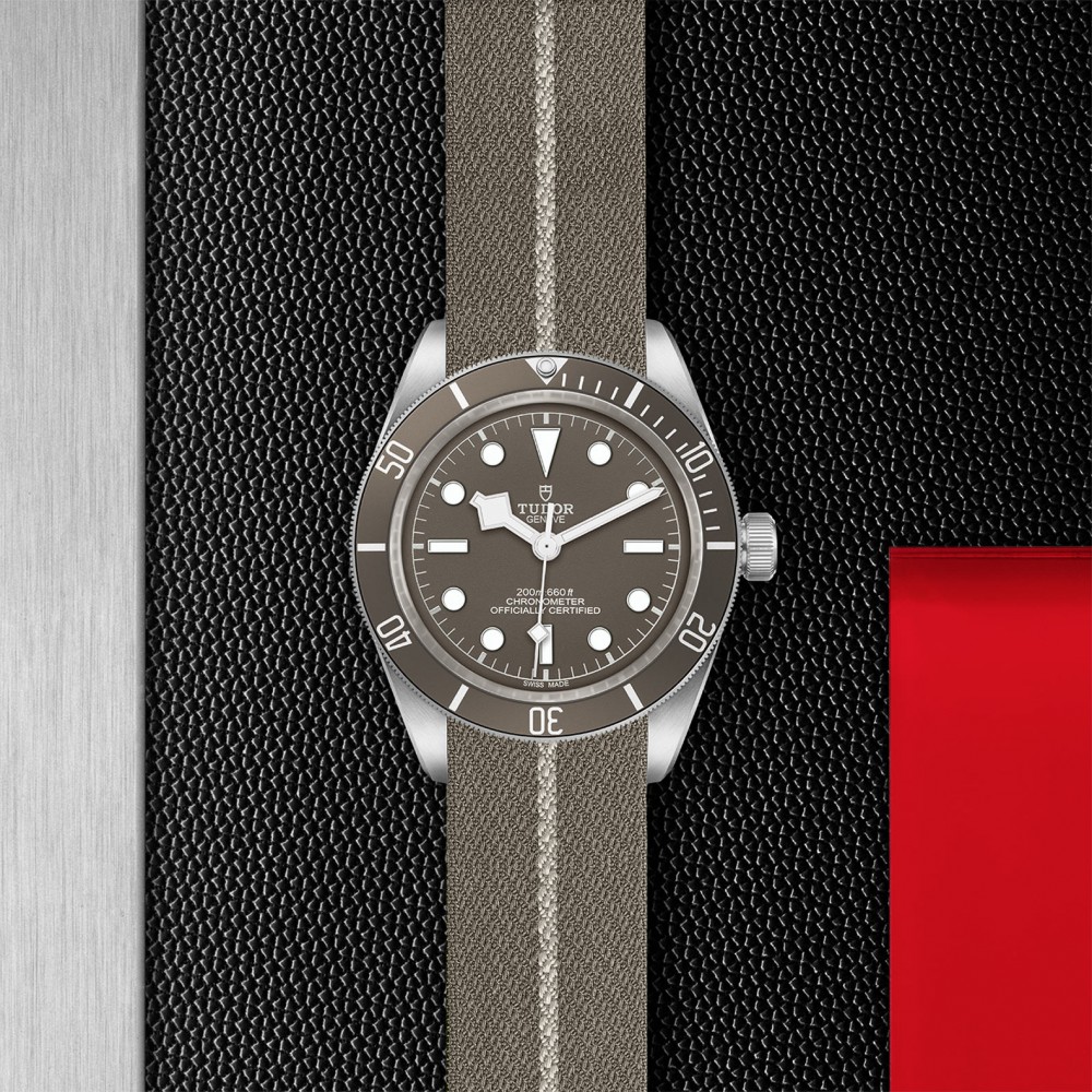 TUDOR Black Bay 58 Watch - M79010SG-0002 at Floyd & Green Fine Jewelers