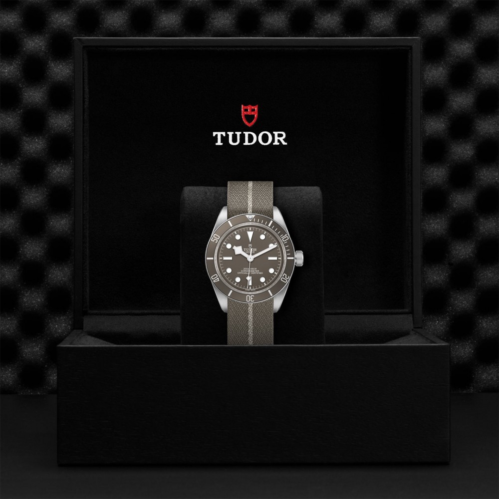 TUDOR Black Bay 58 Watch - M79010SG-0002 at Floyd & Green Fine Jewelers