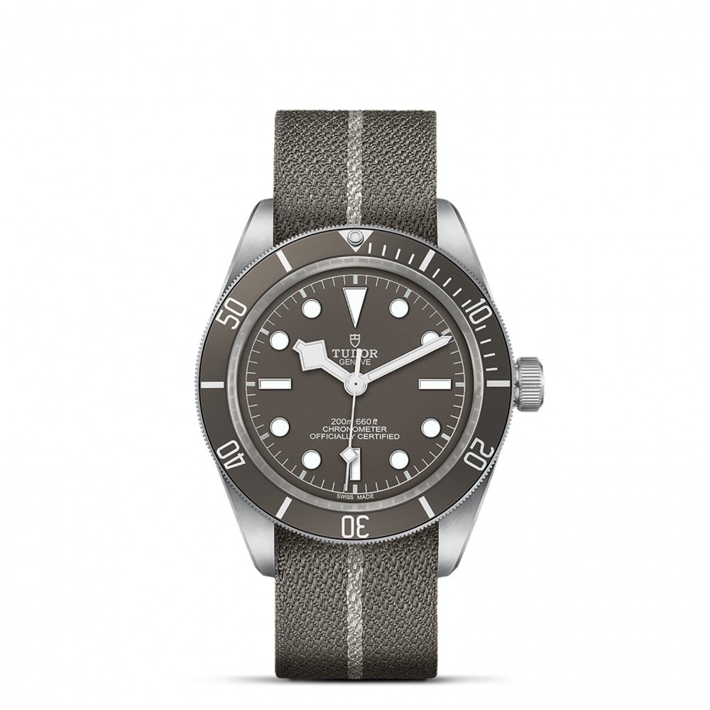 TUDOR Black Bay 58 Watch - M79010SG-0002 at Floyd & Green Fine Jewelers