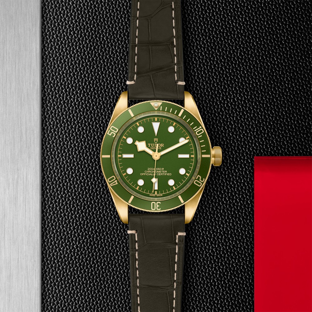 TUDOR Black Bay 58 Watch - M79018V-0001 at Floyd & Green Fine Jewelers