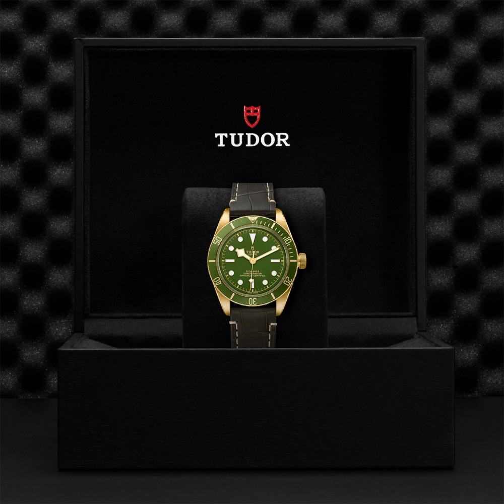 TUDOR Black Bay 58 Watch - M79018V-0001 at Floyd & Green Fine Jewelers