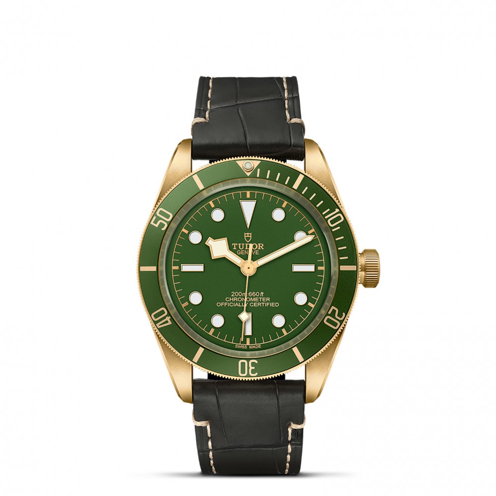TUDOR Black Bay 58 Watch - M79018V-0001 at Floyd & Green Fine Jewelers