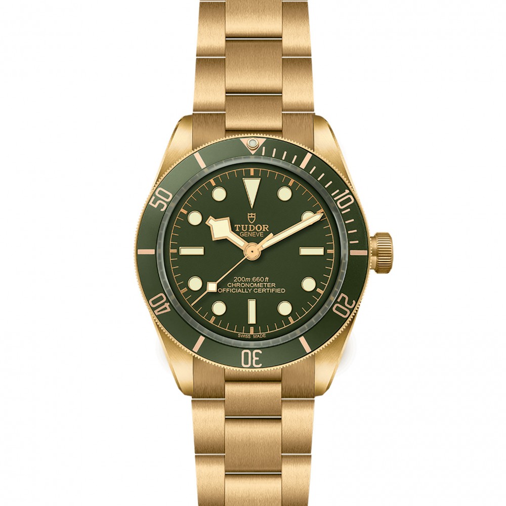 TUDOR Black Bay 58 - M79018V-0006 at Floyd & Green Fine Jewelers