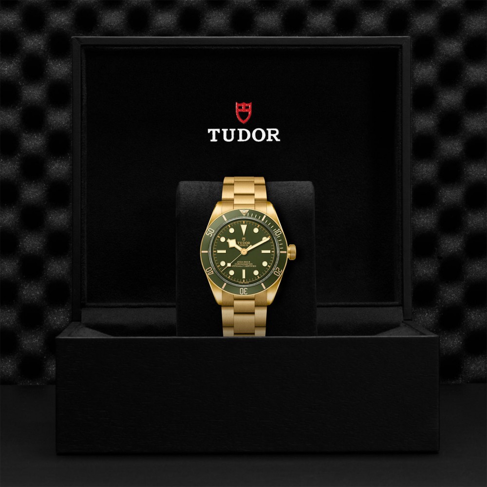 TUDOR Black Bay 58 - M79018V-0006 at Floyd & Green Fine Jewelers