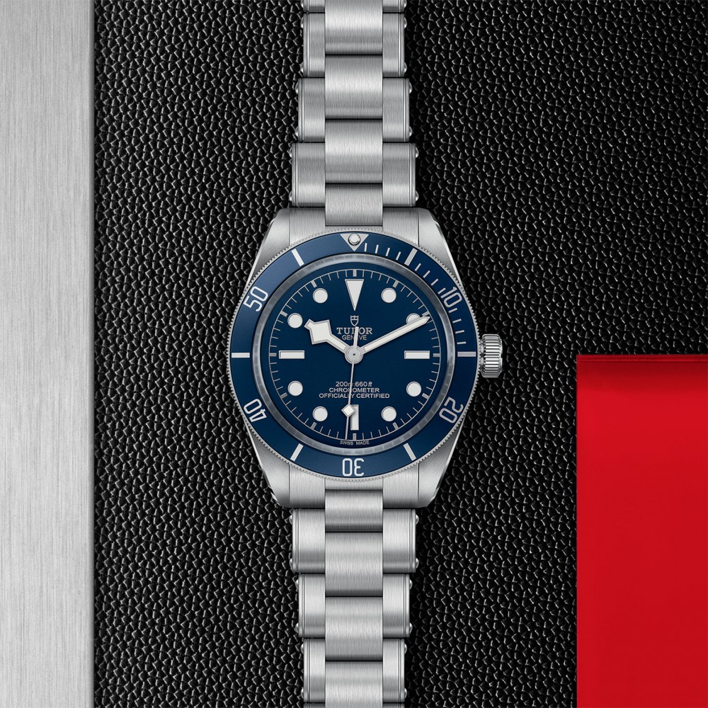 TUDOR Black Bay 58 Watch - M79030B-0001 at Floyd & Green Fine Jewelers