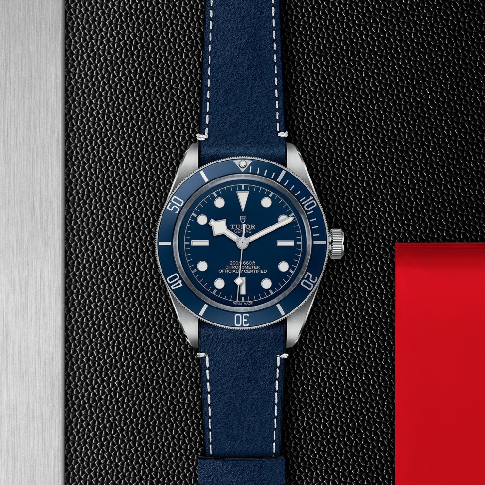 TUDOR Black Bay 58 Watch - M79030B-0002 at Floyd & Green Fine Jewelers