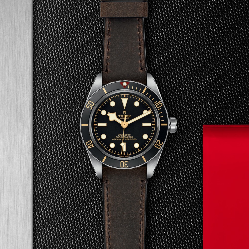 TUDOR Black Bay 58 Watch - M79030N-0002 at Floyd & Green Fine Jewelers