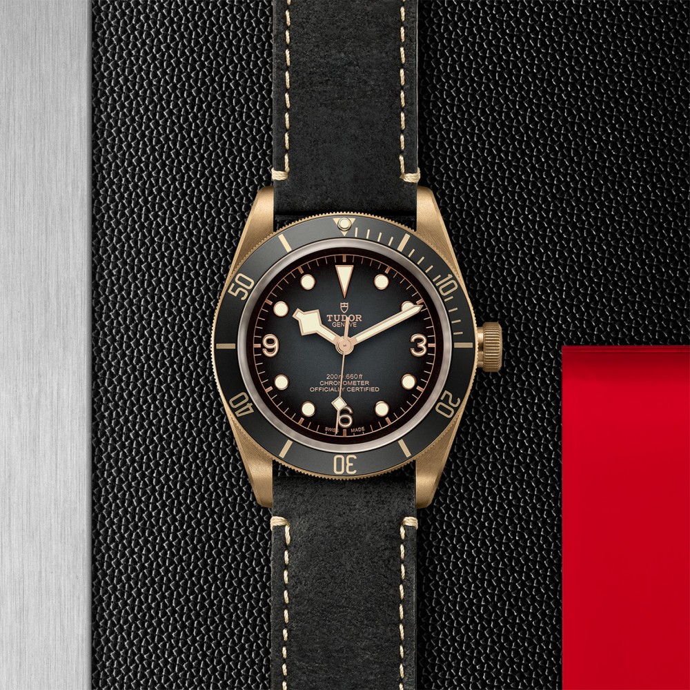 TUDOR Black Bay Bronze Watch - M79250BA-0001 at Floyd & Green Fine Jewelers