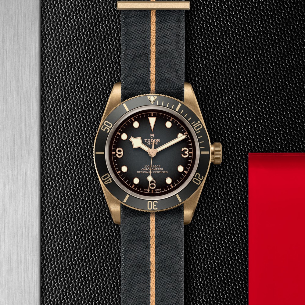 TUDOR Black Bay Bronze Watch - M79250BA-0002 at Floyd & Green Fine Jewelers