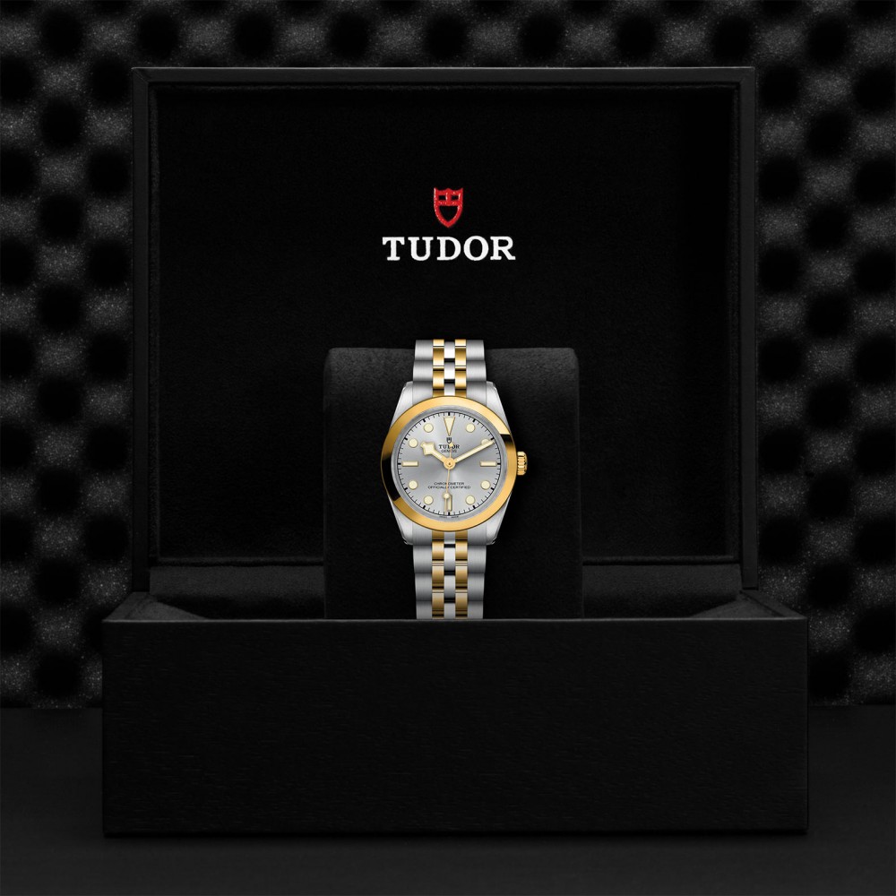 TUDOR Black Bay 31/36/39/41 S&G Watch - M79603-0002 at Floyd & Green Fine Jewelers