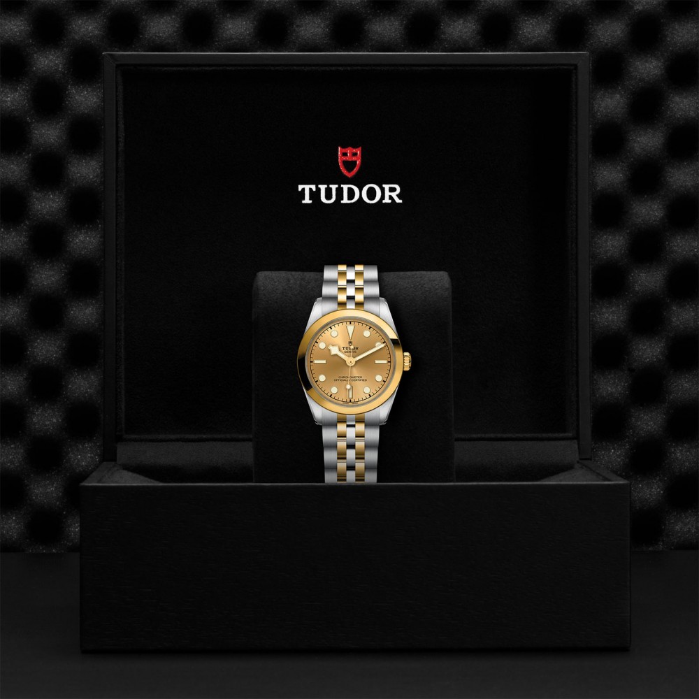 TUDOR Black Bay 31/36/39/41 S&G Watch - M79603-0005 at Floyd & Green Fine Jewelers
