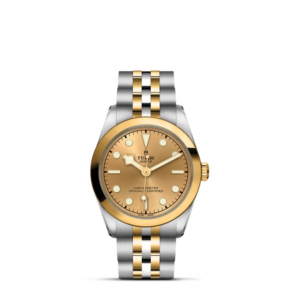 TUDOR Black Bay 31/36/39/41 S&G Watch - M79603-0005 at Floyd & Green Fine Jewelers