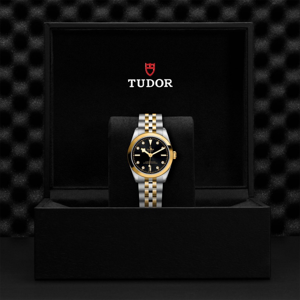 TUDOR Black Bay 31/36/39/41 S&G Watch - M79603-0006 at Floyd & Green Fine Jewelers