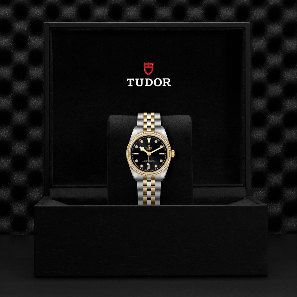 TUDOR Black Bay 31/36/39/41 S&G - M79613-0005 at Floyd & Green Fine Jewelers