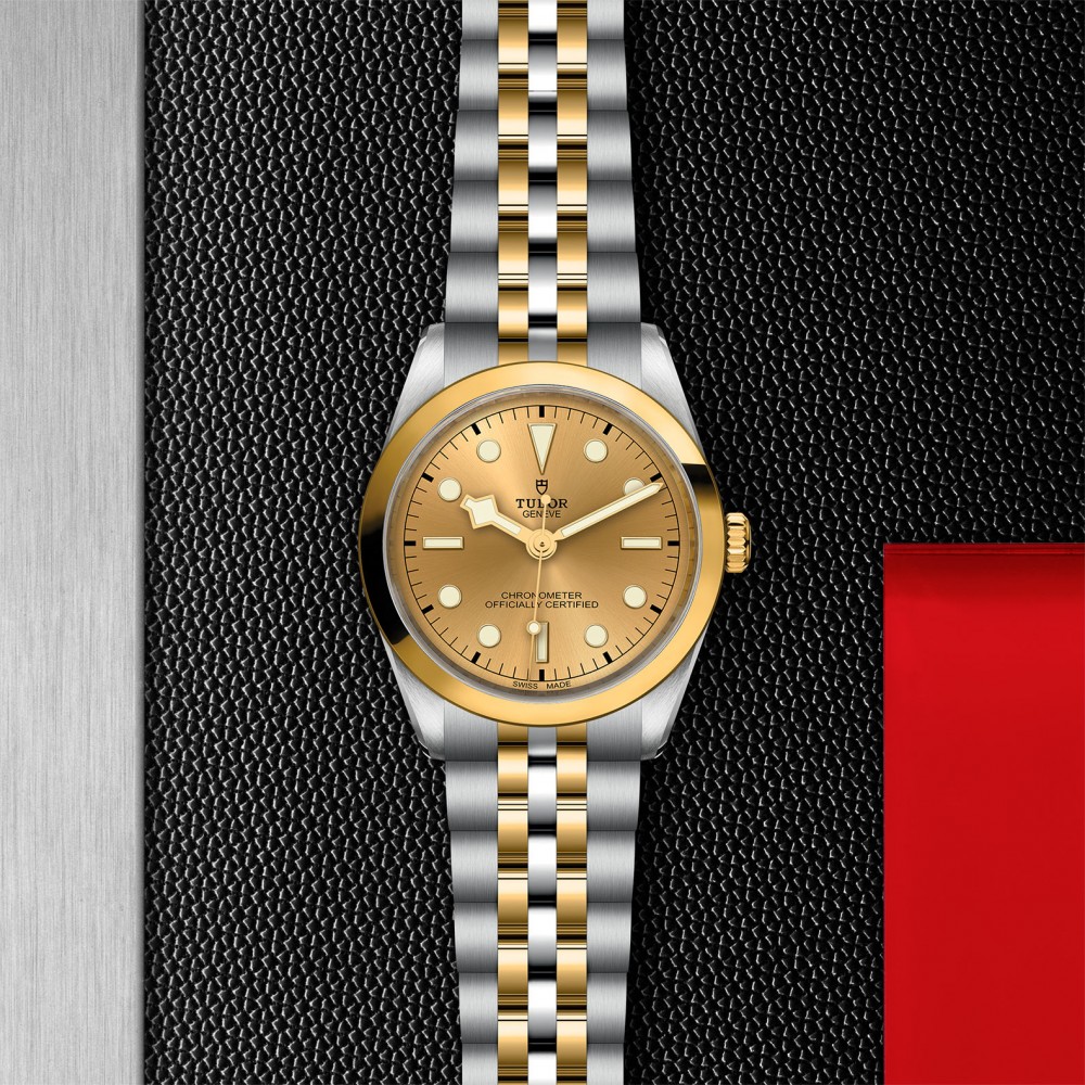 TUDOR Black Bay 31/36/39/41 S&G Watch - M79643-0005 at Floyd & Green Fine Jewelers