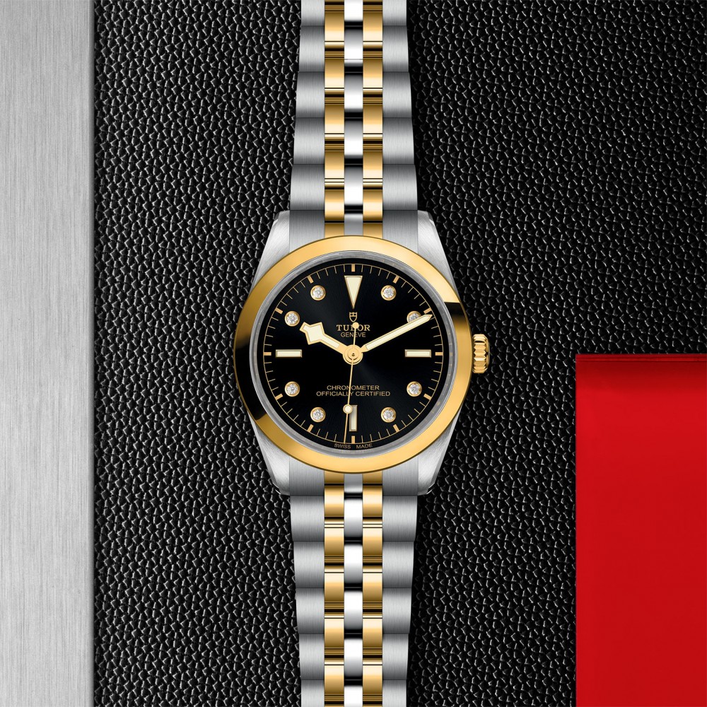 TUDOR Black Bay 31/36/39/41 S&G - M79643-0006 at Floyd & Green Fine Jewelers