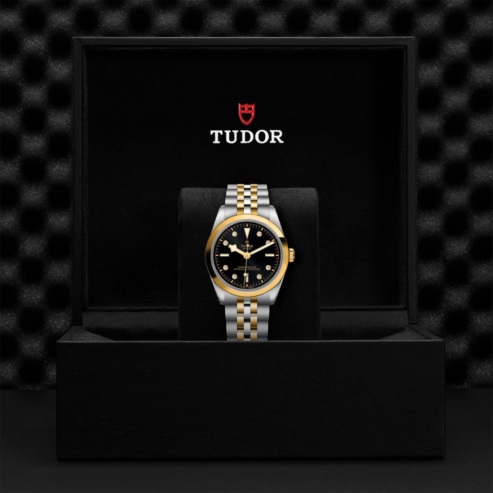 TUDOR Black Bay 31/36/39/41 S&G - M79643-0006 at Floyd & Green Fine Jewelers