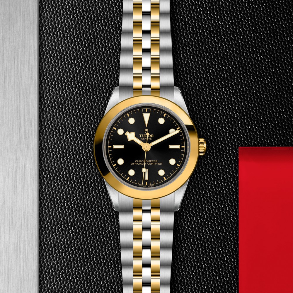 TUDOR Black Bay 31/36/39/41 S&G Watch - M79663-0001 at Floyd & Green Fine Jewelers