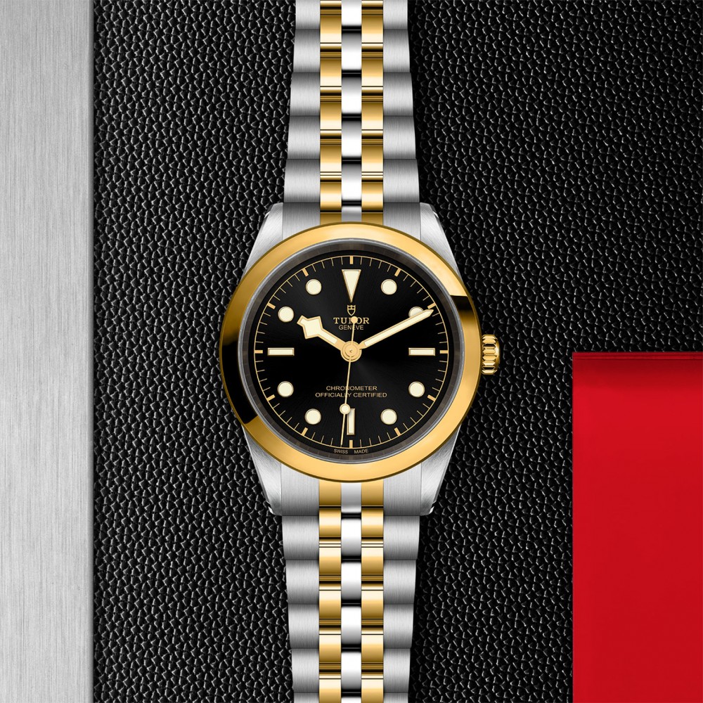 TUDOR Black Bay 31/36/39/41 S&G Watch - M79683-0001 at Floyd & Green Fine Jewelers