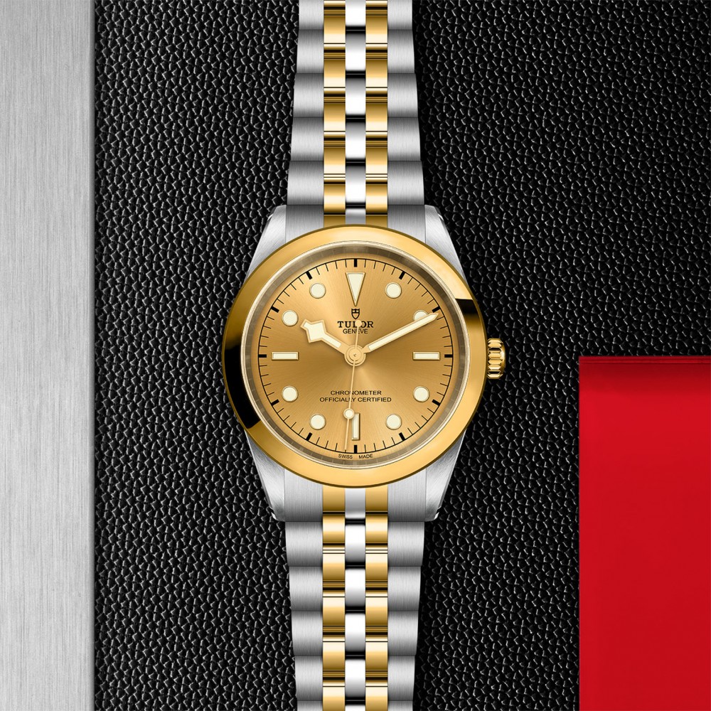 TUDOR Black Bay 31/36/39/41 S&G Watch - M79683-0005 at Floyd & Green Fine Jewelers