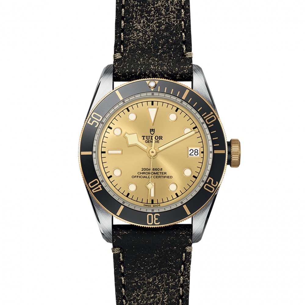 TUDOR Black Bay Watch - M79733N-0003 at Floyd & Green Fine Jewelers