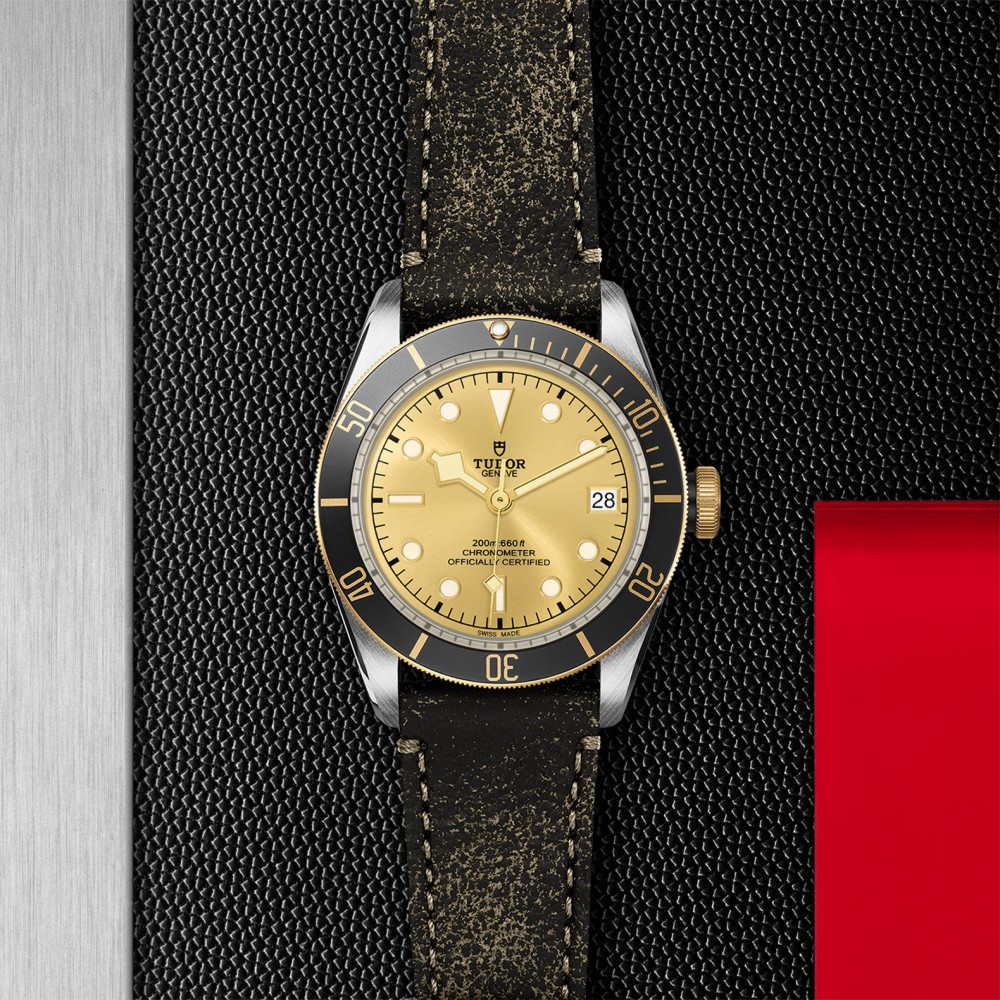 TUDOR Black Bay Watch - M79733N-0003 at Floyd & Green Fine Jewelers