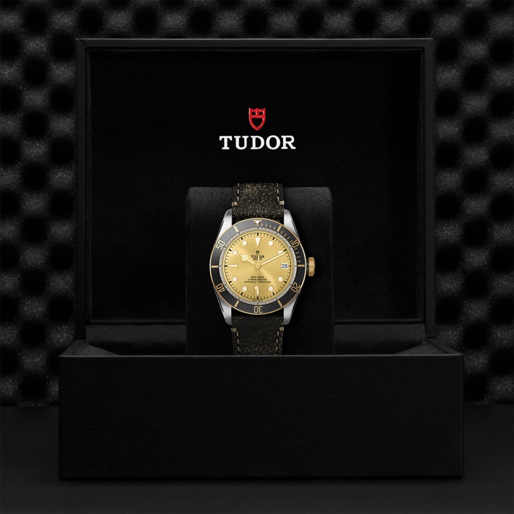 TUDOR Black Bay Watch - M79733N-0003 at Floyd & Green Fine Jewelers