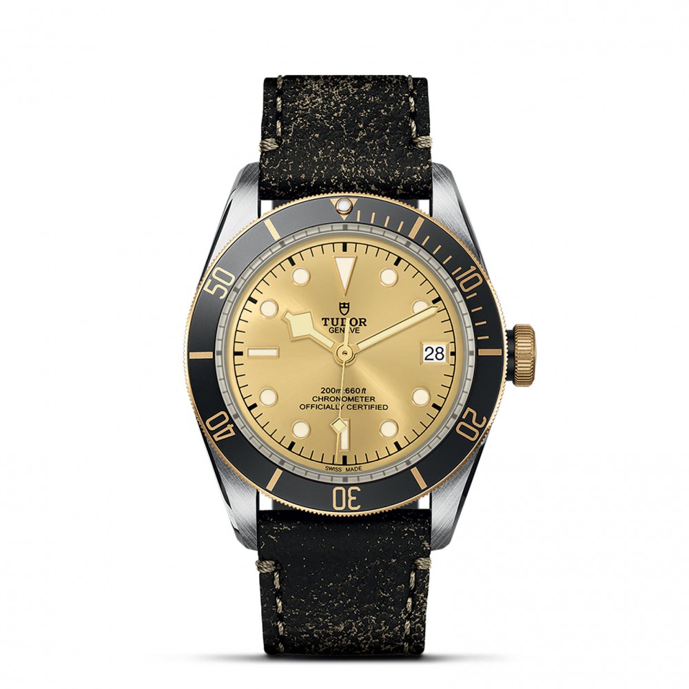 TUDOR Black Bay Watch - M79733N-0003 at Floyd & Green Fine Jewelers