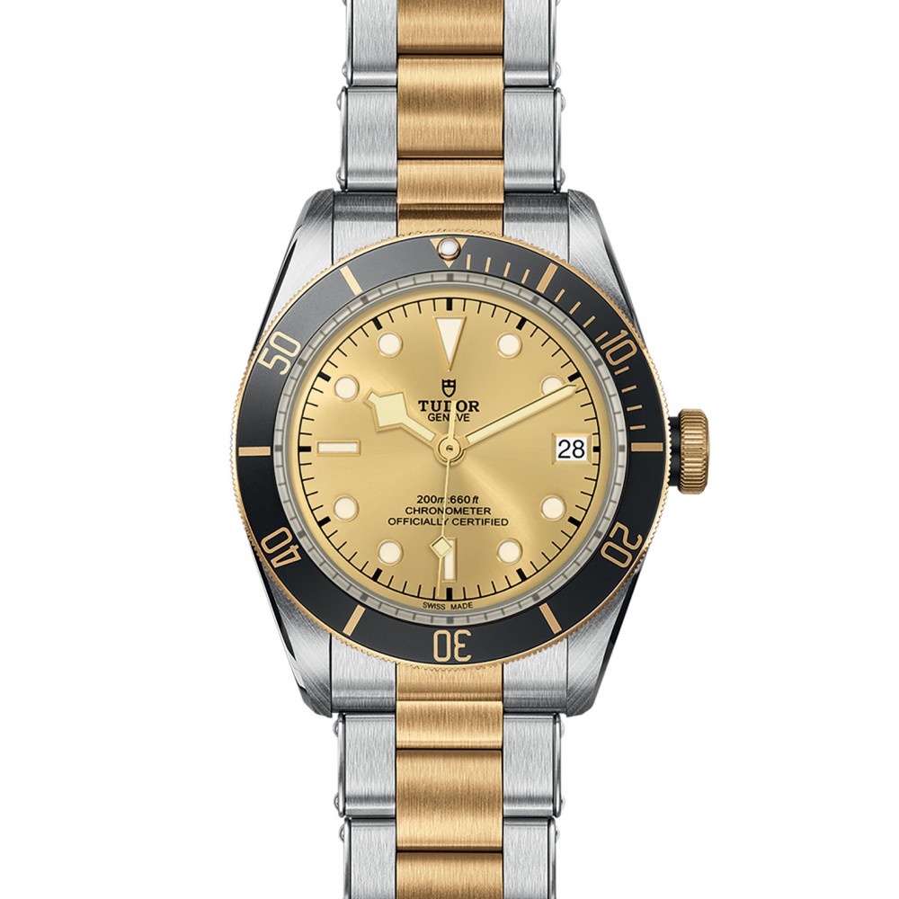 TUDOR Black Bay Watch - M79733N-0004 at Floyd & Green Fine Jewelers