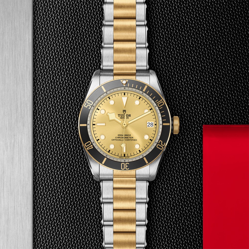 TUDOR Black Bay Watch - M79733N-0004 at Floyd & Green Fine Jewelers
