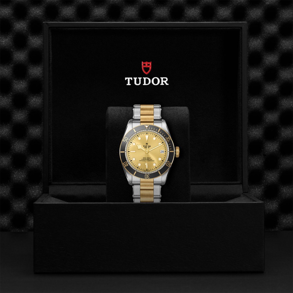 TUDOR Black Bay Watch - M79733N-0004 at Floyd & Green Fine Jewelers