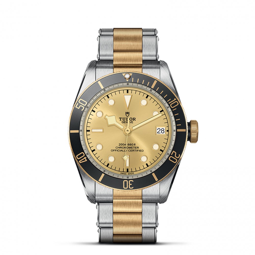 TUDOR Black Bay Watch - M79733N-0004 at Floyd & Green Fine Jewelers