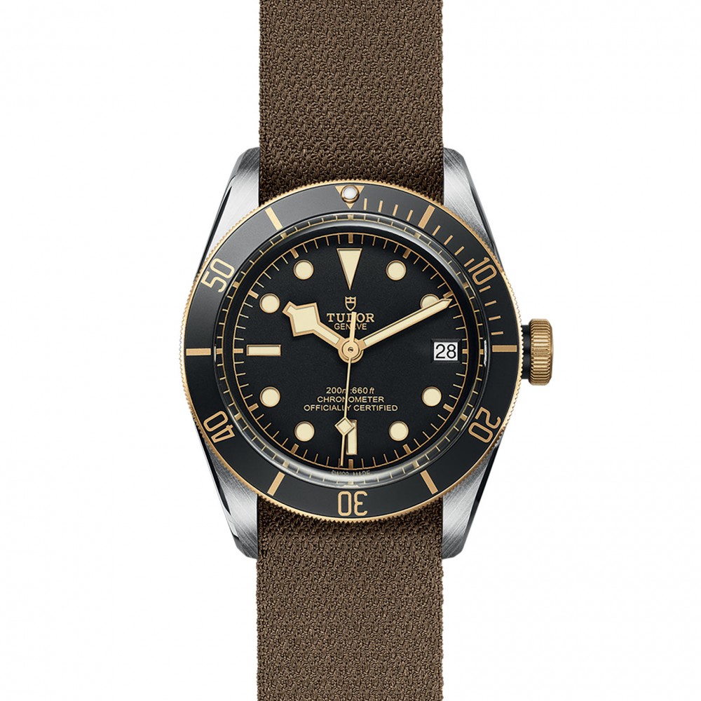 TUDOR Black Bay Watch - M79733N-0005 at Floyd & Green Fine Jewelers