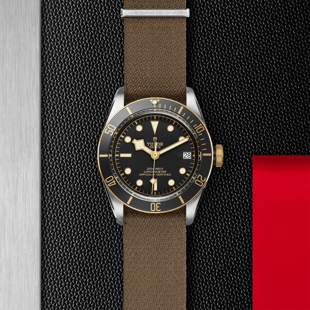 TUDOR Black Bay Watch - M79733N-0005 at Floyd & Green Fine Jewelers
