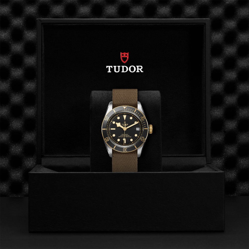 TUDOR Black Bay Watch - M79733N-0005 at Floyd & Green Fine Jewelers