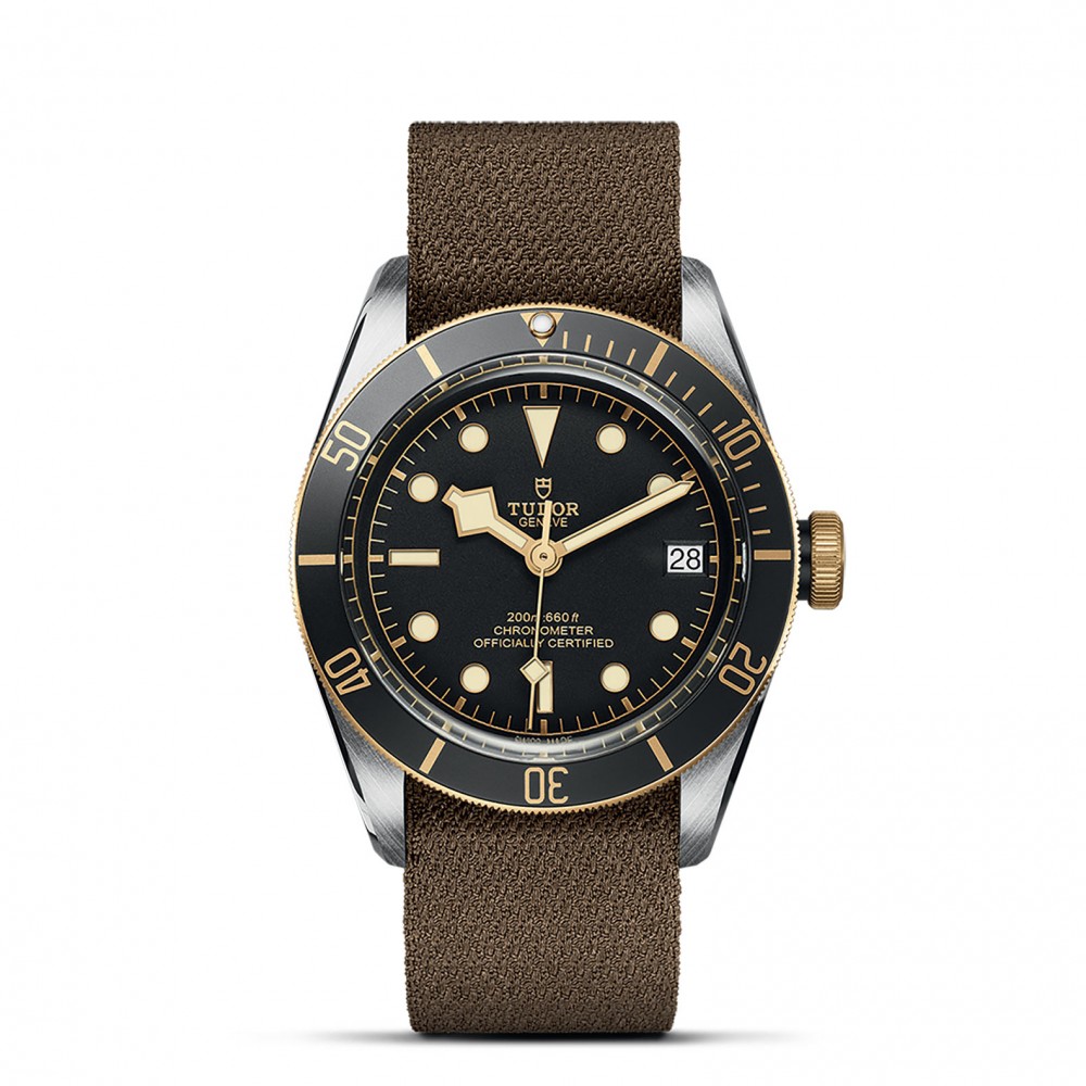 TUDOR Black Bay Watch - M79733N-0005 at Floyd & Green Fine Jewelers