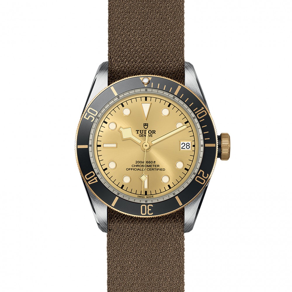TUDOR Black Bay Watch - M79733N-0006 at Floyd & Green Fine Jewelers