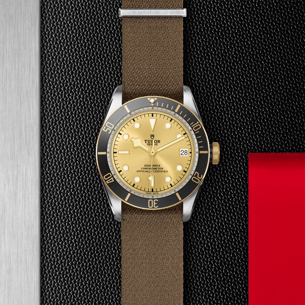 TUDOR Black Bay Watch - M79733N-0006 at Floyd & Green Fine Jewelers
