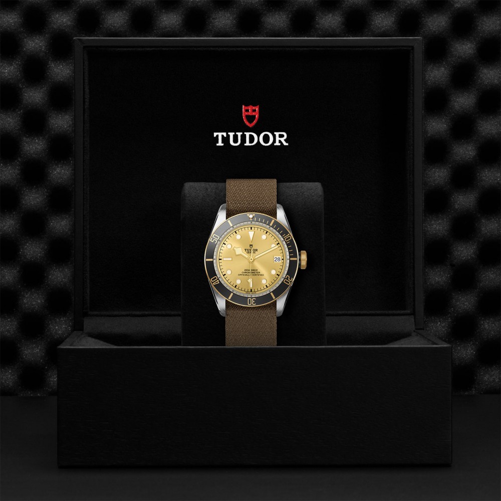 TUDOR Black Bay Watch - M79733N-0006 at Floyd & Green Fine Jewelers