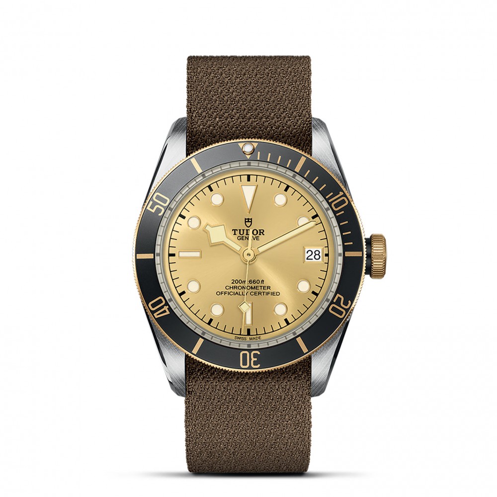 TUDOR Black Bay Watch - M79733N-0006 at Floyd & Green Fine Jewelers