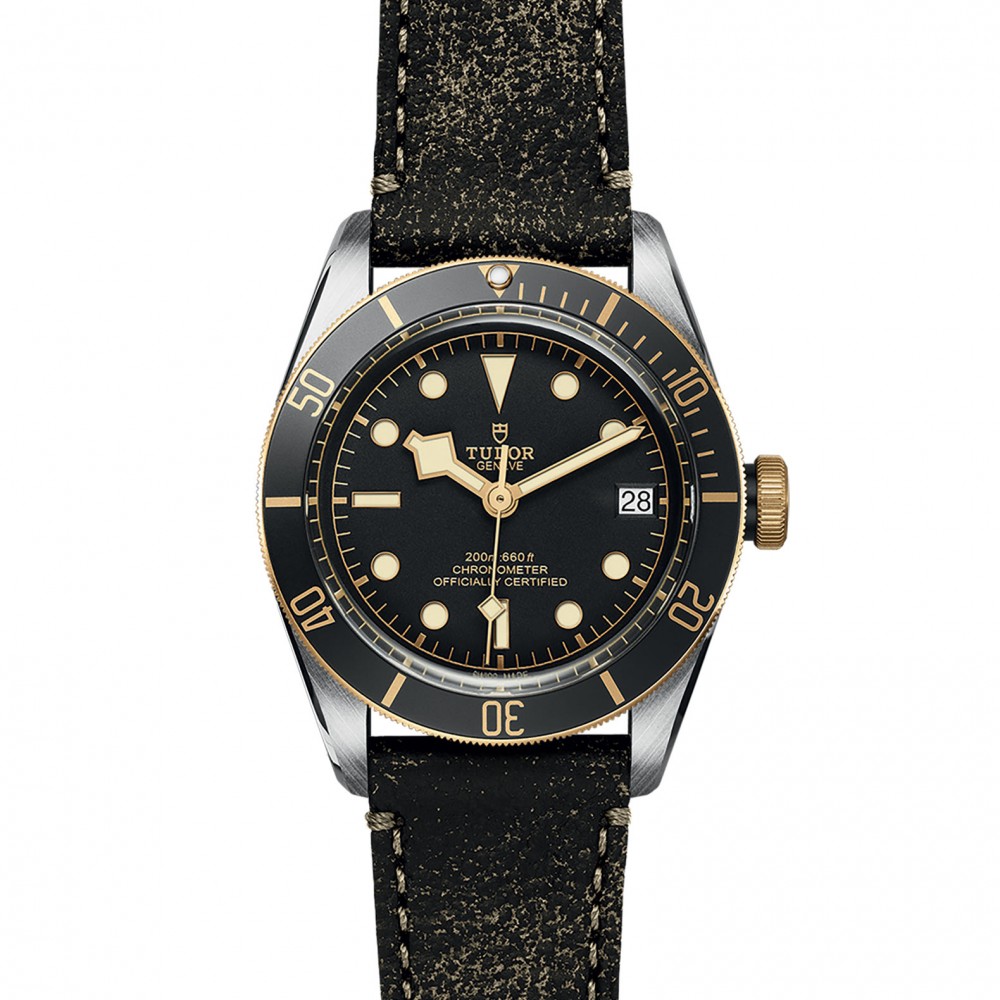 TUDOR Black Bay Watch - M79733N-0007 at Floyd & Green Fine Jewelers