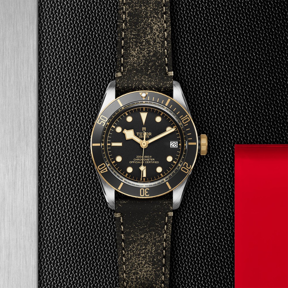 TUDOR Black Bay Watch - M79733N-0007 at Floyd & Green Fine Jewelers