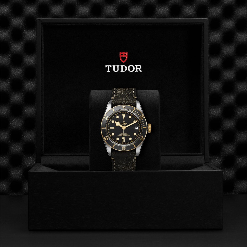 TUDOR Black Bay Watch - M79733N-0007 at Floyd & Green Fine Jewelers