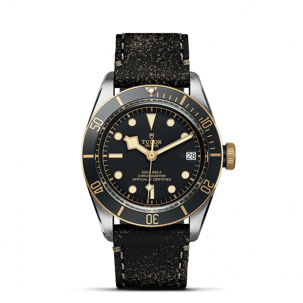 TUDOR Black Bay Watch - M79733N-0007 at Floyd & Green Fine Jewelers